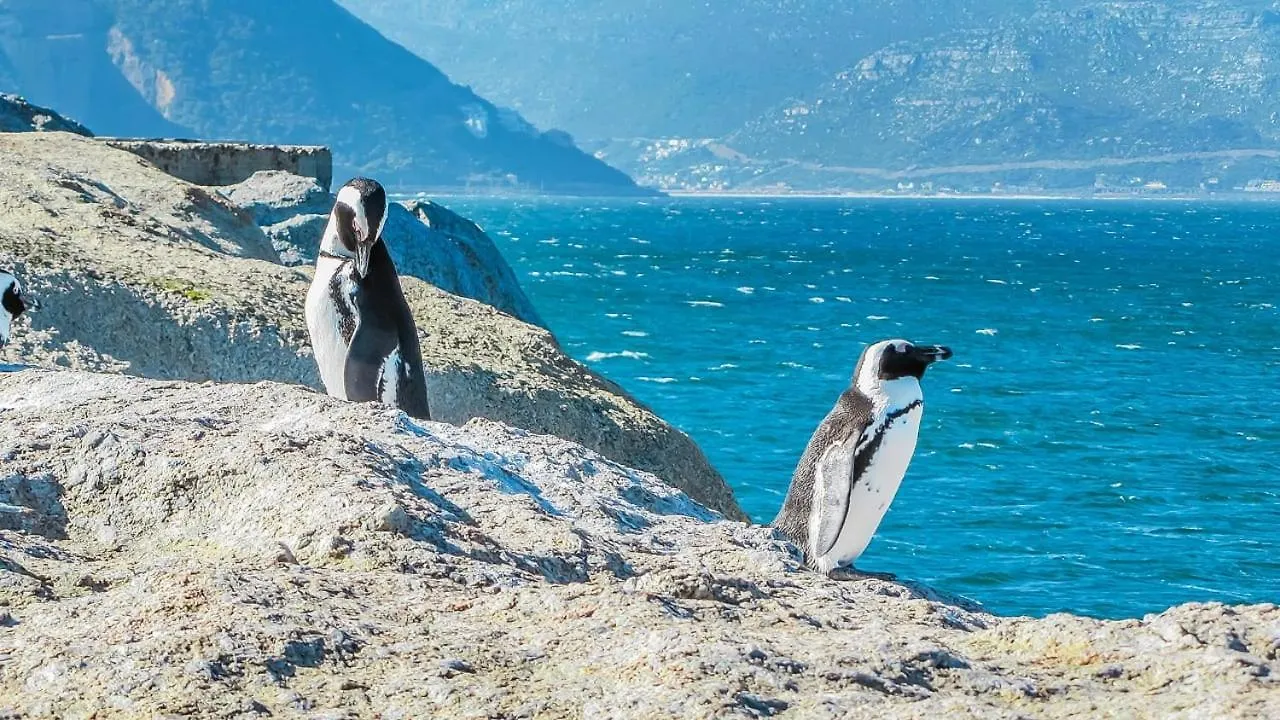 Διαμέρισμα Mountain View Cabana Kommetjie Νότια Αφρική
